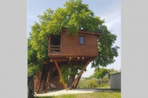 Casa sull'Albero Treehouse Costa dei Trabocchi